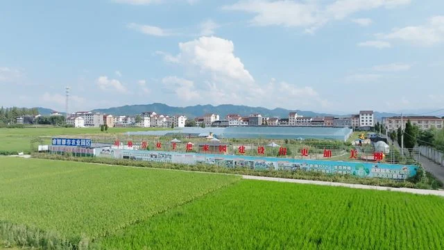 养鱼不换水、种菜不施肥!汉台城郊智慧农旅融合示范园