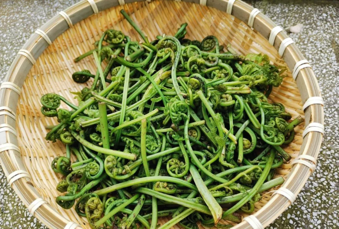 微信图片_20250402101135.jpg