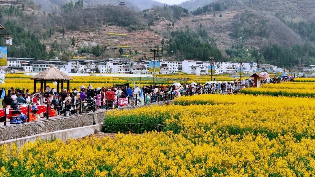镇巴春日盛宴旅游攻略，让这个春天不留遗憾！