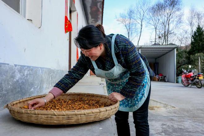 秋天的最后一场旅行,依旧选留坝?