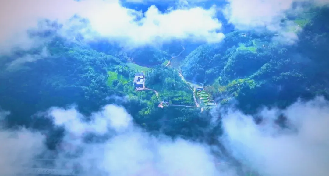 茶旅新地标！楮溪源景区带你开启茶旅融合新体验！