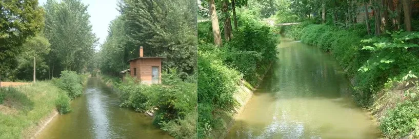 李振峰：湑水河上杨填堰