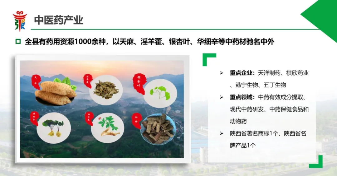 产业聚势,创新赋能!走进宁强省级高新技术产业开发区
