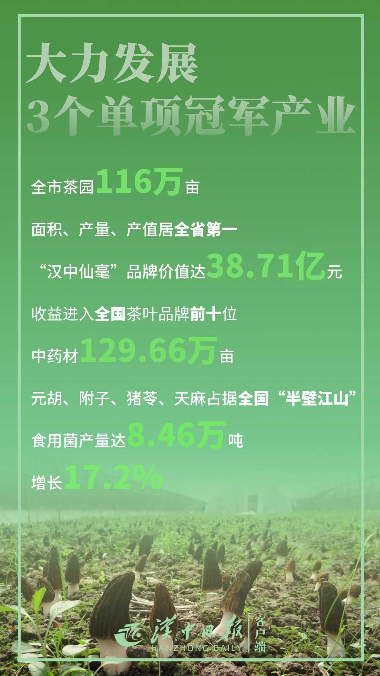 骄傲！带你直击汉中“成绩单”！