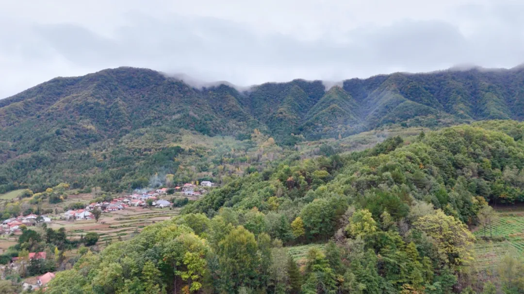 汉中黎坪八大碗:一口非遗宴席,藏着整座山的烟火人情