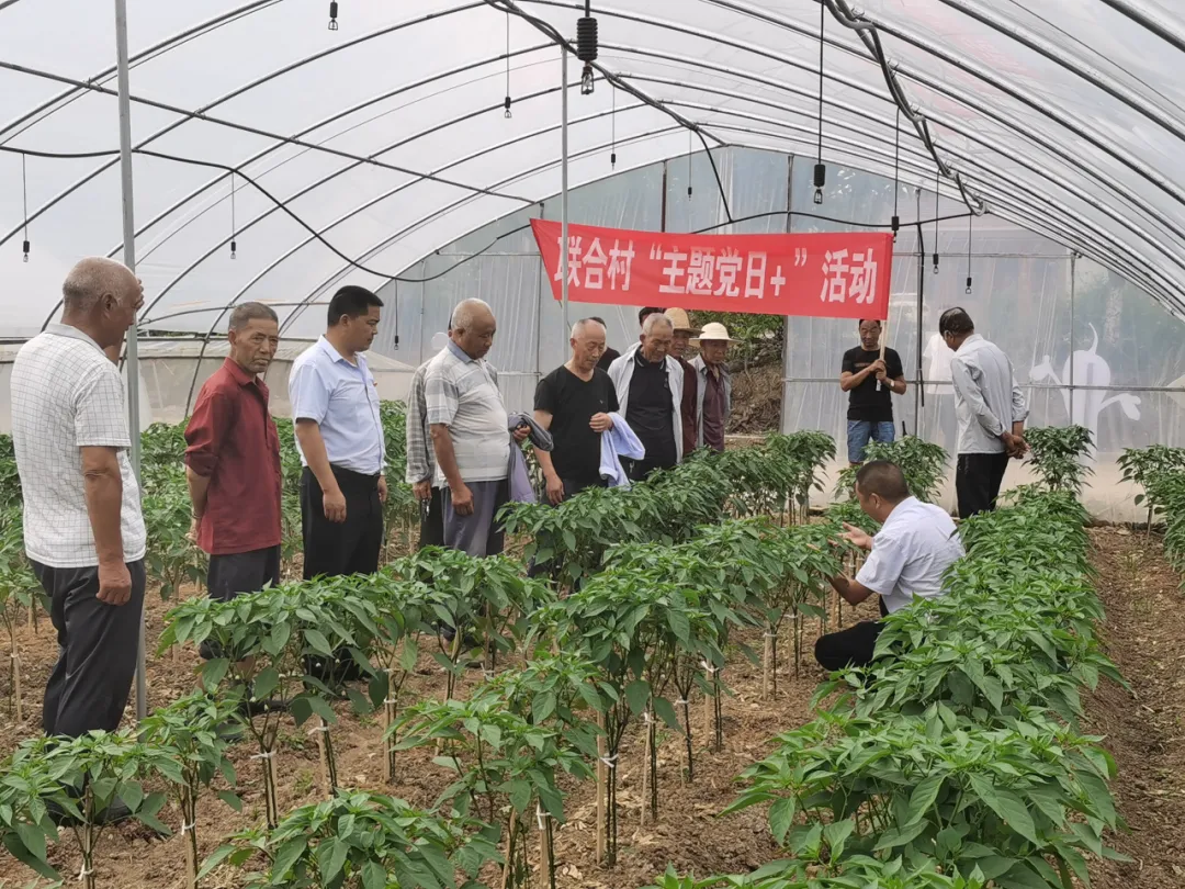 不做纸面答卷！汉中党建扎根一线、落地生根、开花结果→