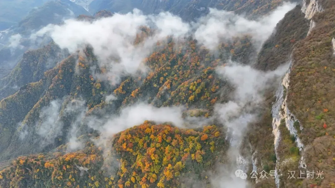汉中龙头山：云雾裹着秋景，像是在彩林间画了层渐变。