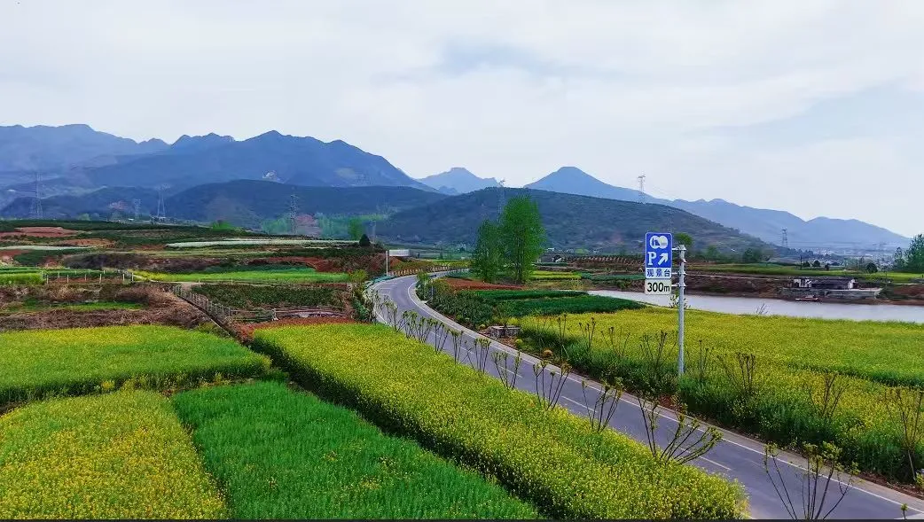 汉台区农村路焕新升级，更宽更美更富民