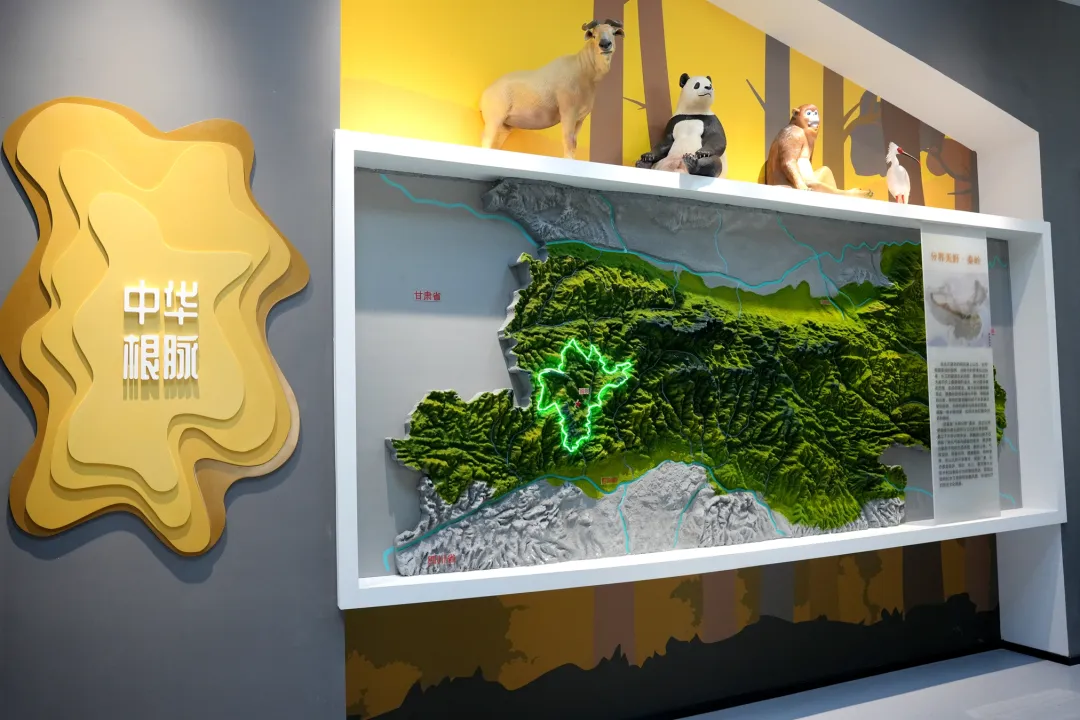 留坝新名片！感官全开，趣游秦岭