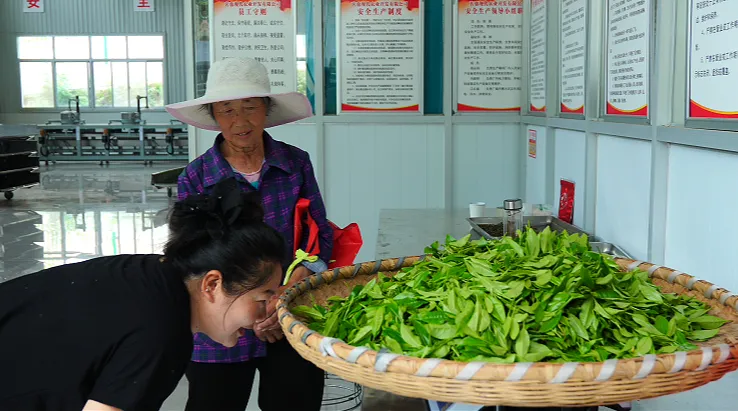喜茶、古茗、茶话弄！原来有“汉中味道”→