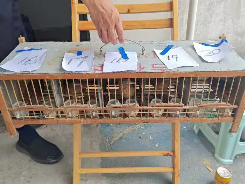 汉中一男子非法捕获大量国家二级保护动物