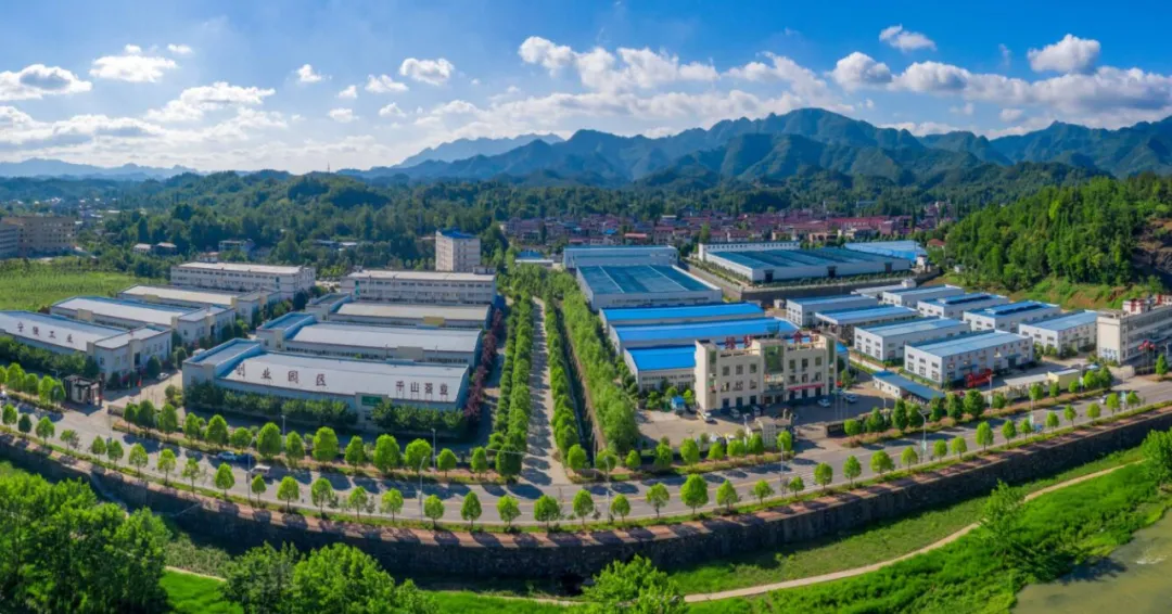 产业聚势,创新赋能!走进宁强省级高新技术产业开发区