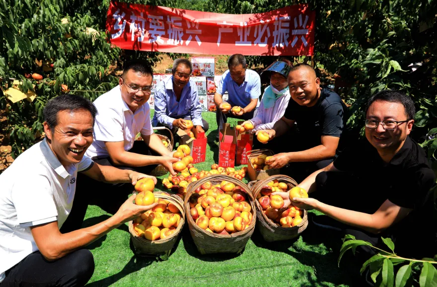 “十四五”汉台答卷 | 汉王镇：一路生花，织就山乡新画卷