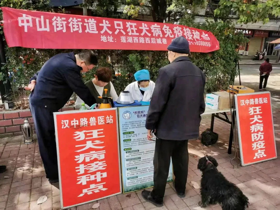遛狗不牵绳“狗很温顺”就行？记者实地探访→