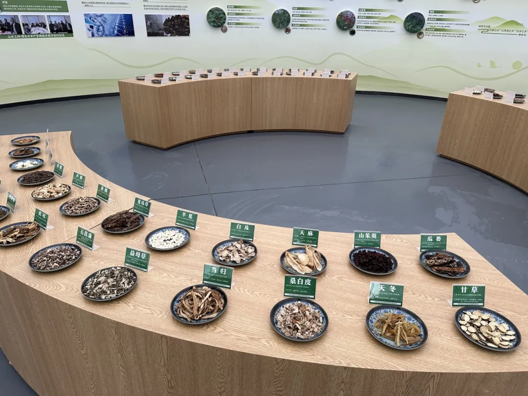 汉台:智慧赋能 让农业尽展“科技范儿”