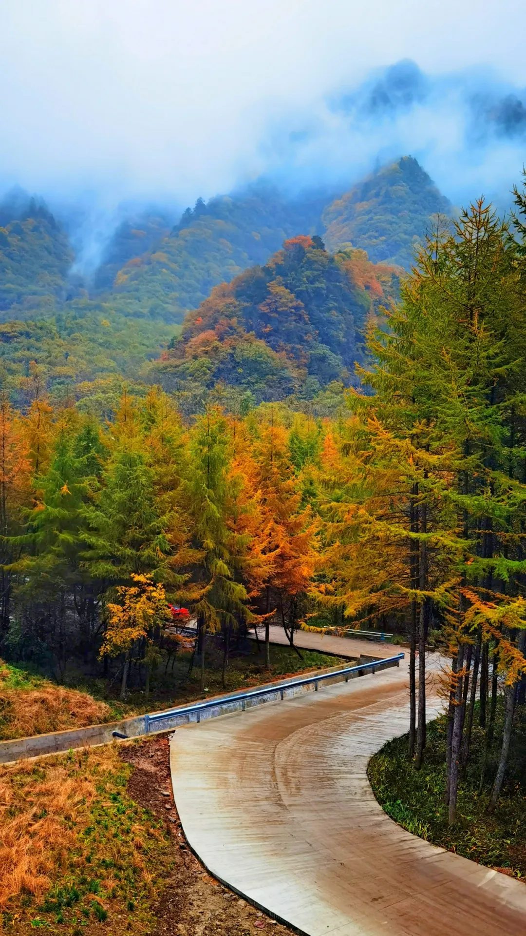 出发！汉中发布7条赏秋旅游线路→