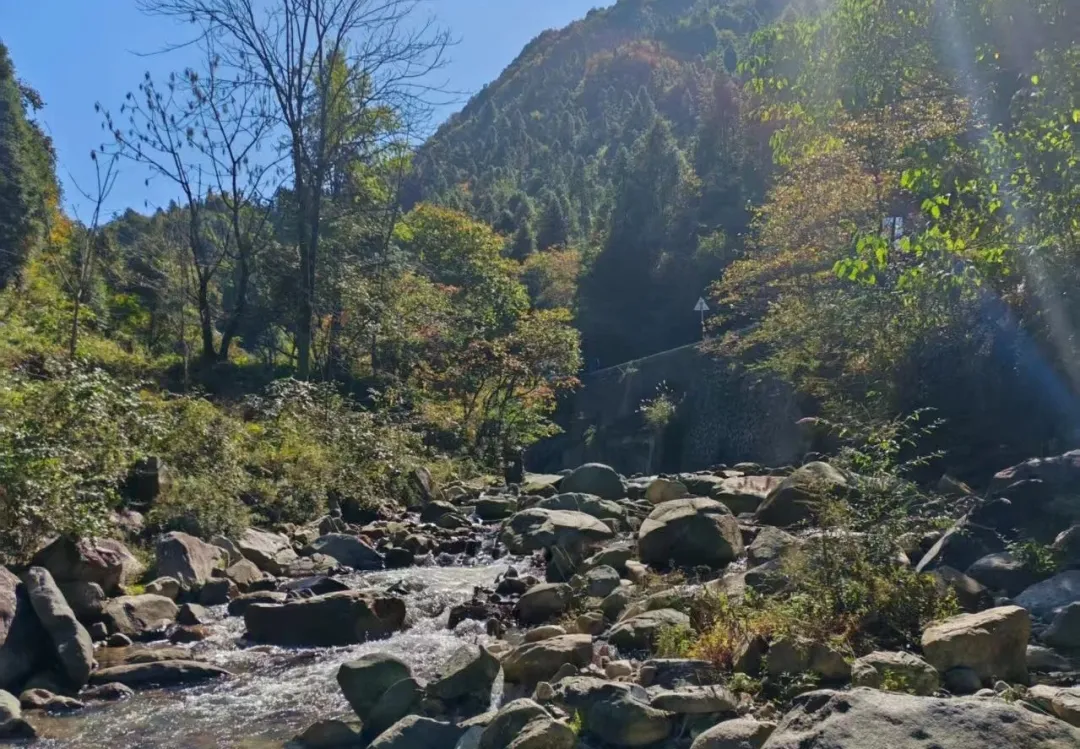 穿越时空的千年蜀道——米仓古道