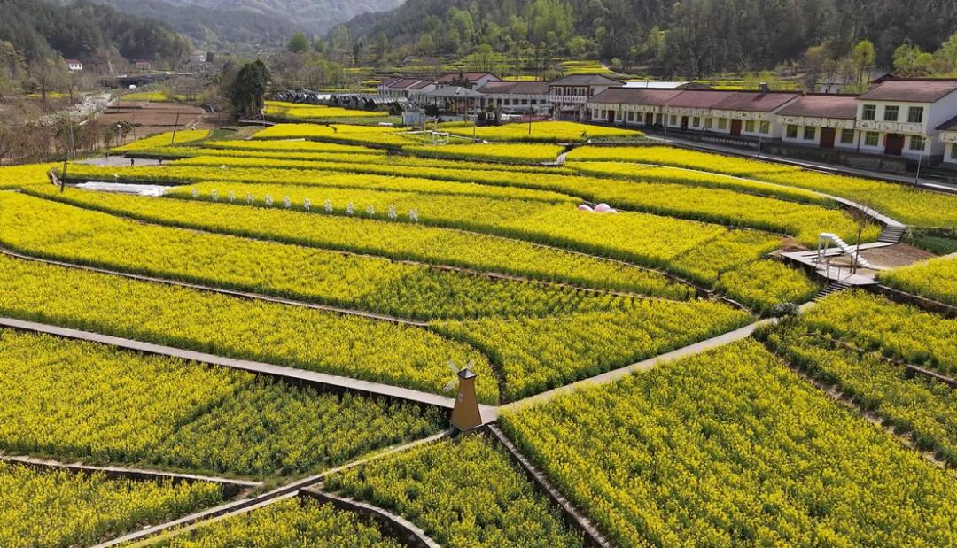 清明春假去哪玩?留坝这几条神仙路线,把秦岭春天一网打尽