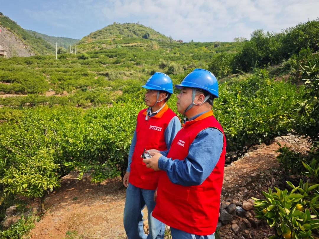 国庆特别策划 | 跟着电力去旅行——城固站