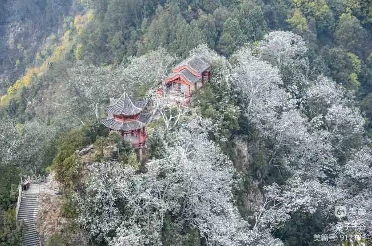 雪中的西乡午子山