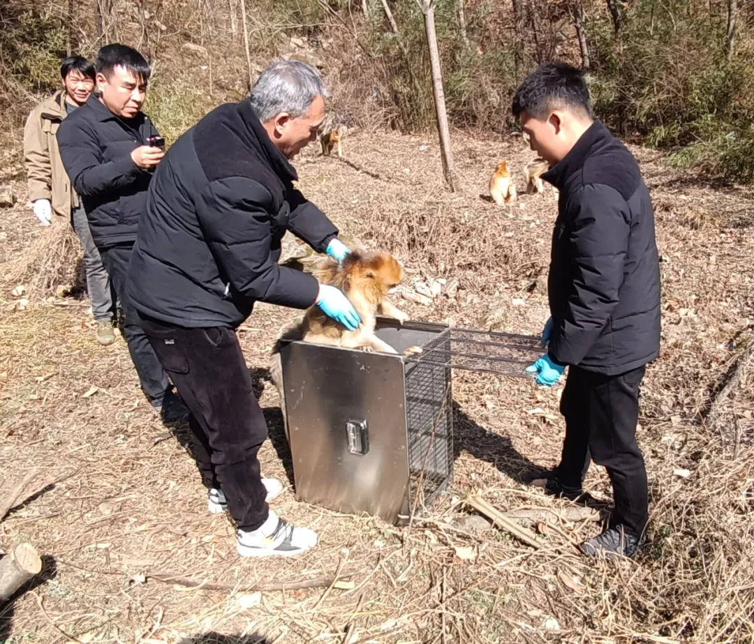 踏遍9943公顷山林！汉中这12名“看树人”被国家表彰！