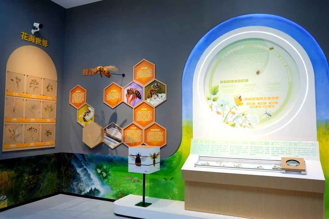 留坝新名片！感官全开，趣游秦岭