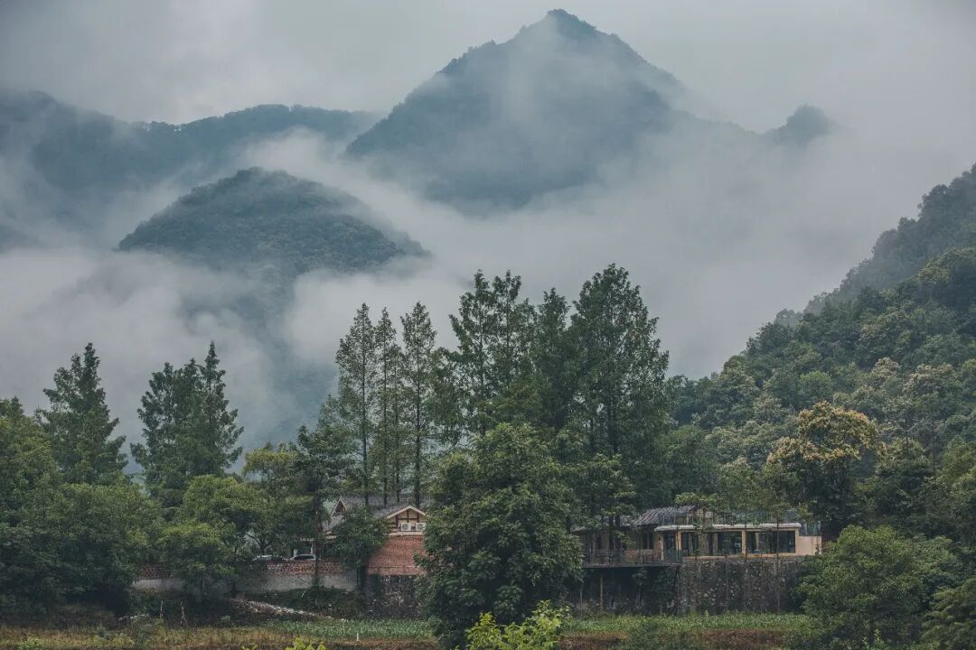 五一去哪儿了！留坝这份攻略甩给你，吃啥玩啥住哪里，闭眼跟就行