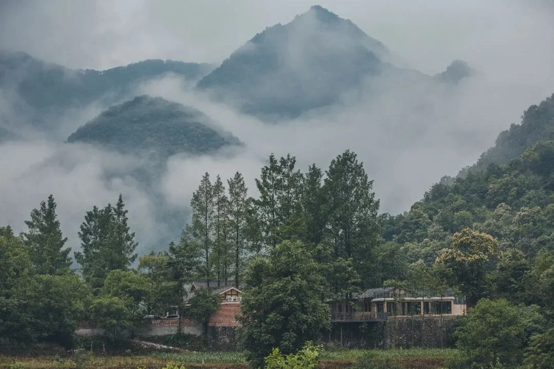 五一去哪儿了!留坝这份攻略甩给你,吃啥玩啥住哪里,闭眼跟就行