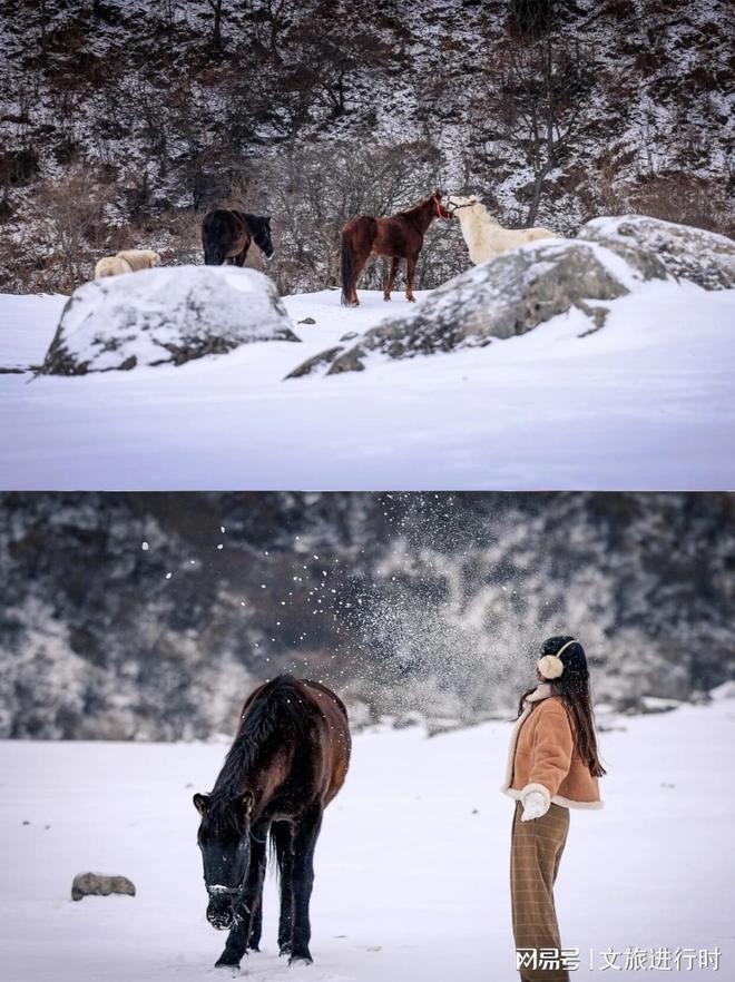 圈粉无数!非遗+冰雪承包留坝冬日快乐!
