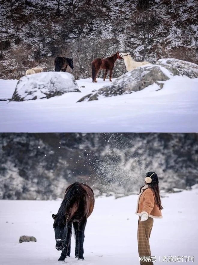 圈粉无数!非遗+冰雪承包留坝冬日快乐!