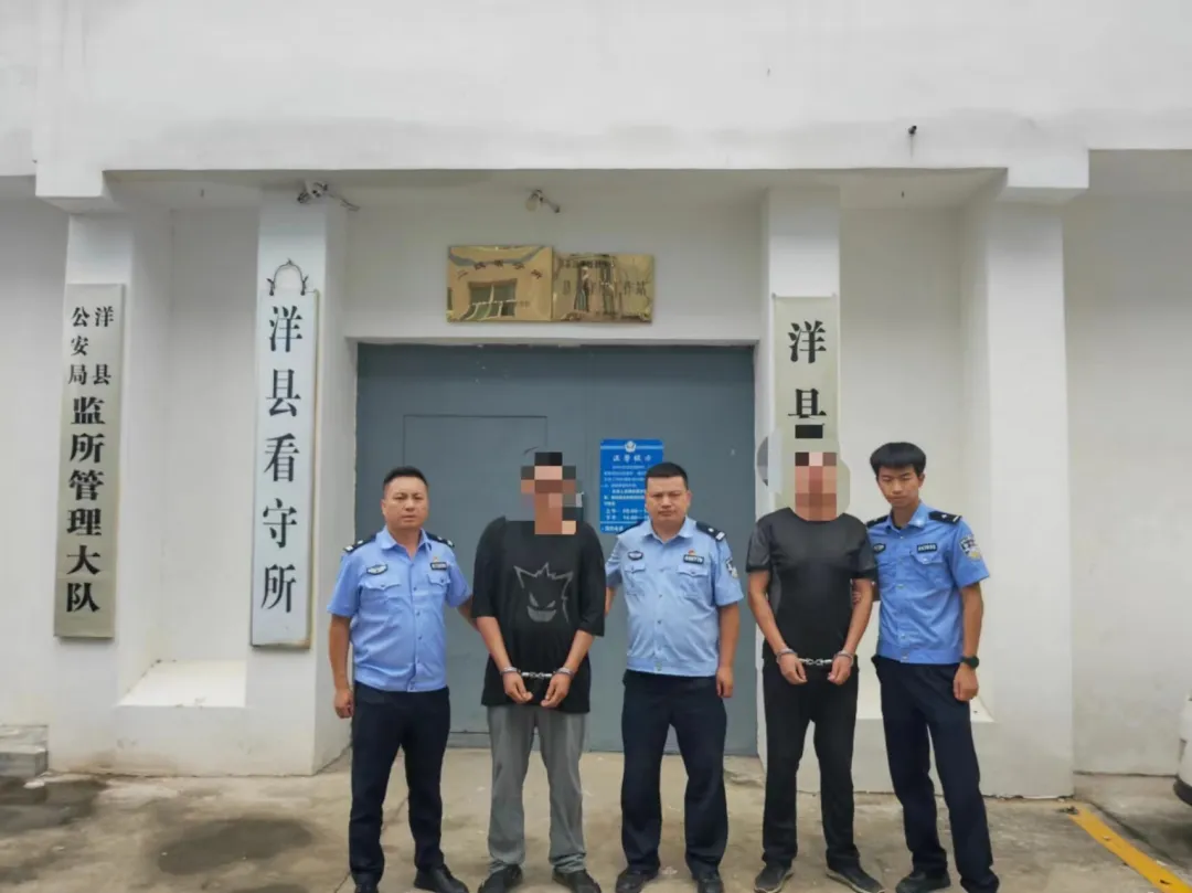 汉中打掉一盗犬犯罪团伙!