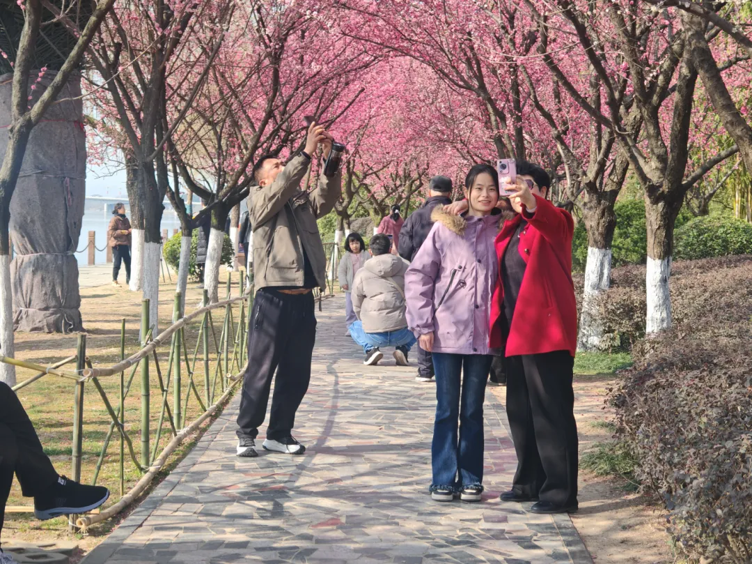 汉台新年怎么过？“一城三香”满新春