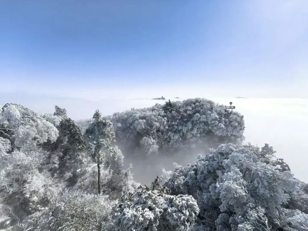 人气火,经济旺!汉中高颜值冰雪出圈→
