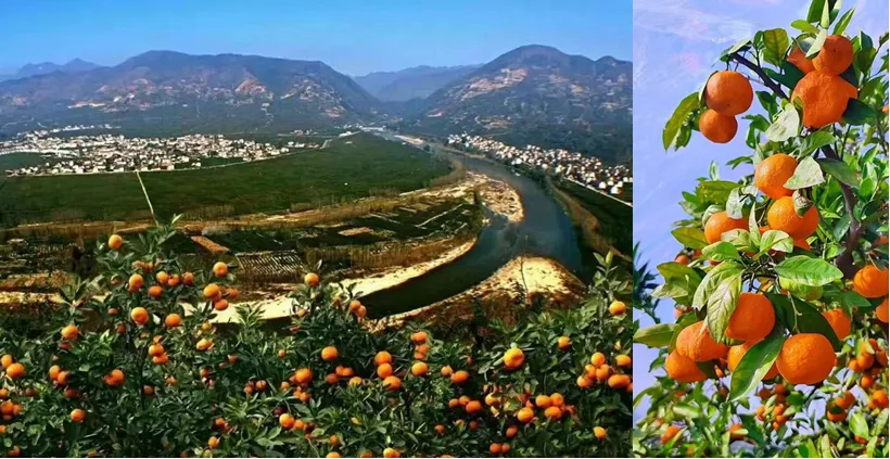 李振峰：湑水河上杨填堰