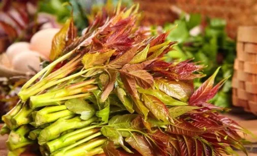 赏春花,吃春菜,把春天“吃进肚子”