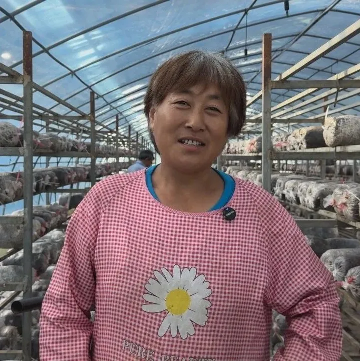 佛坪:大棚飘出菌菇香!富硒食用菌丰收,村民家门口就业增收