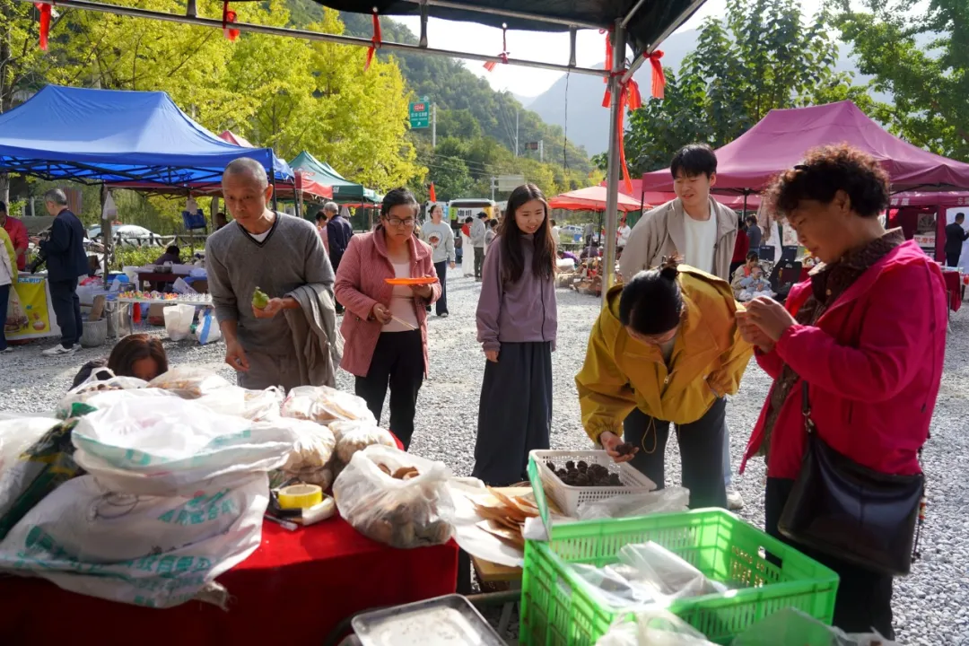 漫山红叶里，留坝接住了千里之外的奔赴
