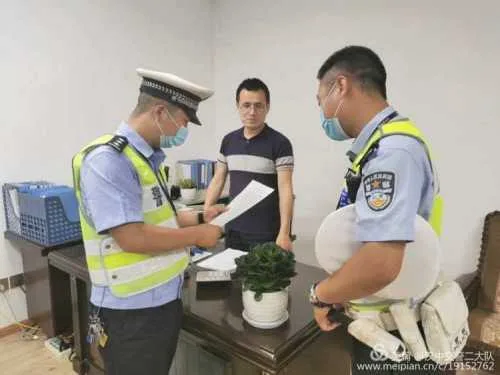 1695457278769044869.jpg 2023陕西·汉中(城固)柑桔旅游文化月活动正式启动