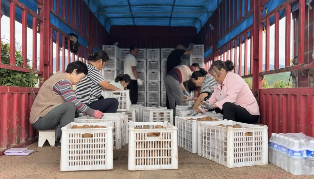 总产值破40亿！汉中果业成农户甜蜜事业