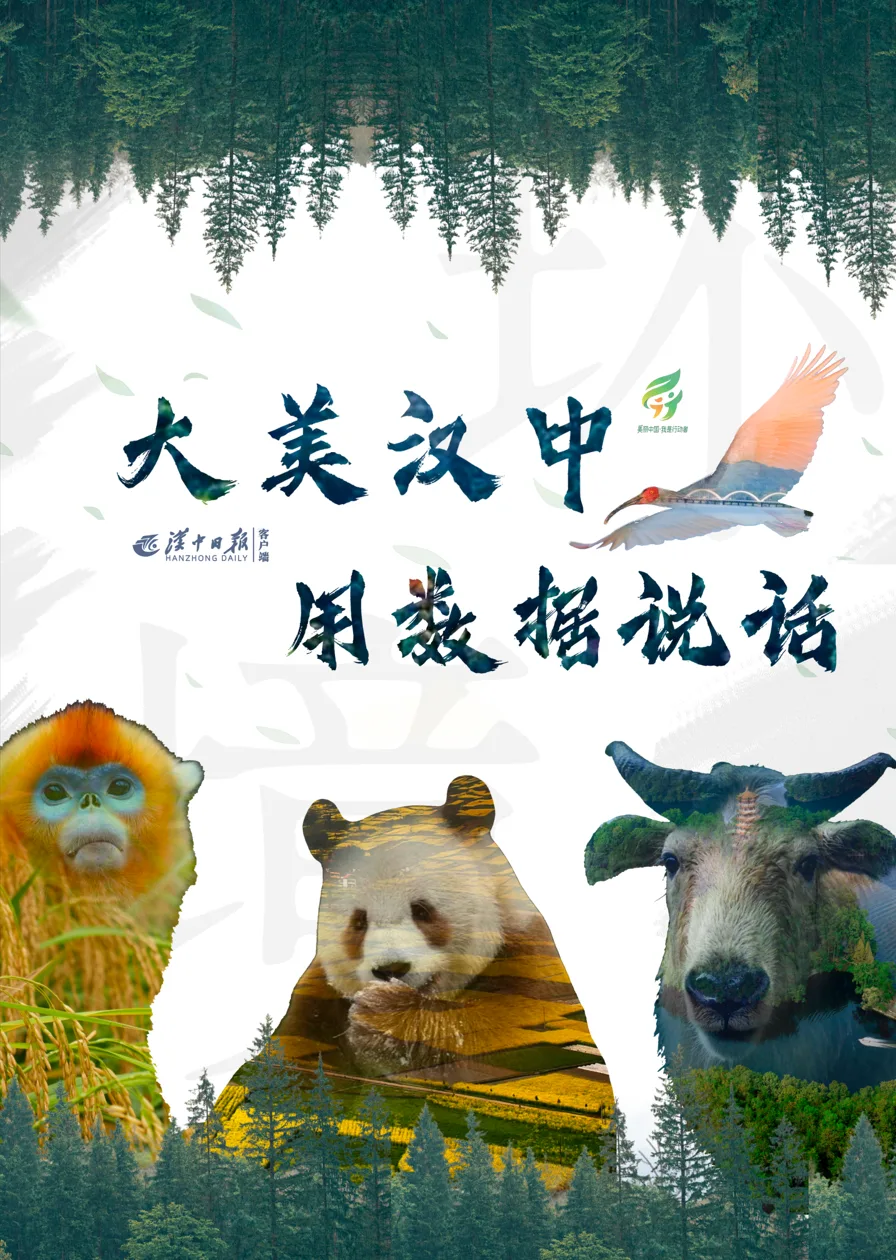 大美汉中，用数据说话→