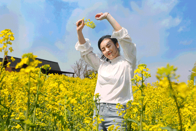 汉台油菜花打破常规，“三色”组合，被惊艳到了！