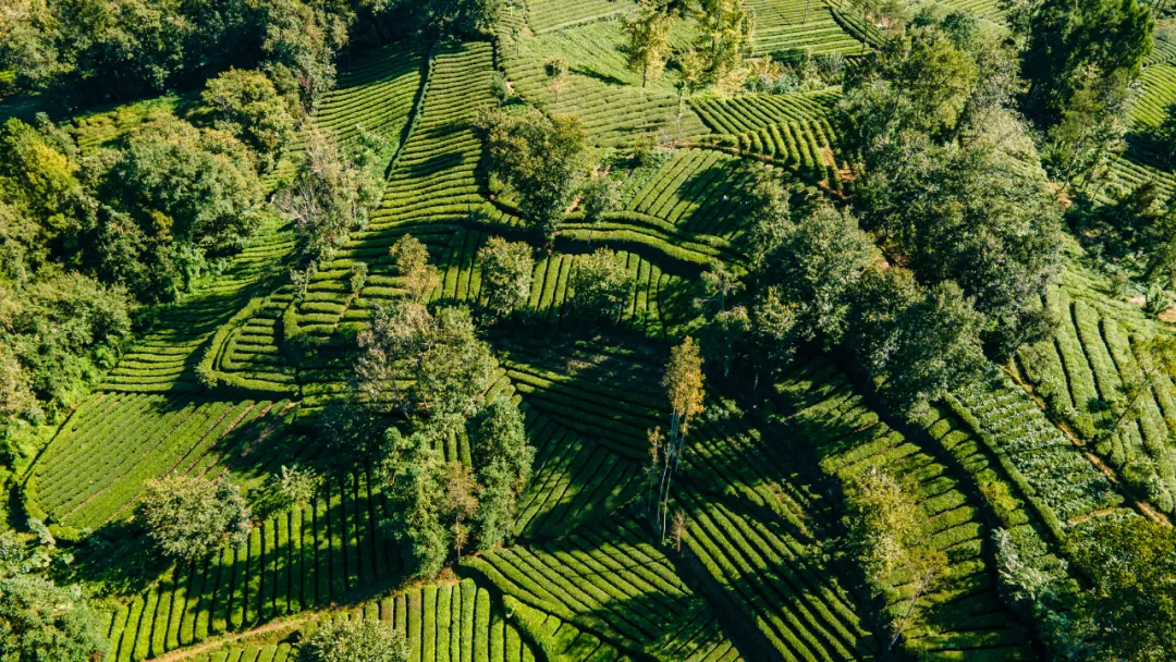 “缤纷秋季·趣游西乡”网络主题宣传活动走进西乡