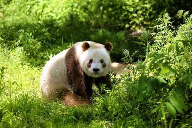 汉中门户网创始人吴波先生荣获2017年“汉中网络好青年”荣誉称号！