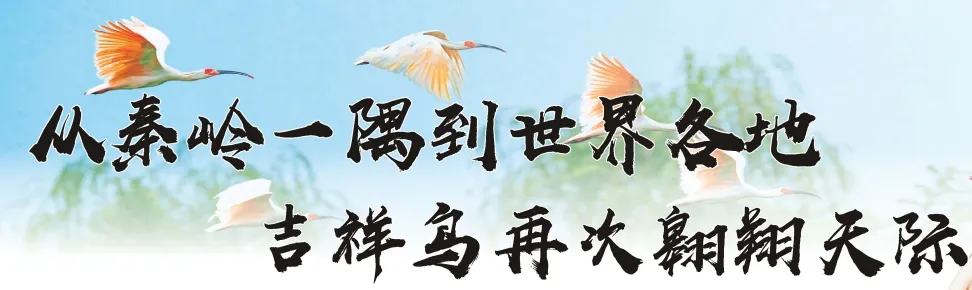 从秦岭到世界!汉中创造生态奇迹!