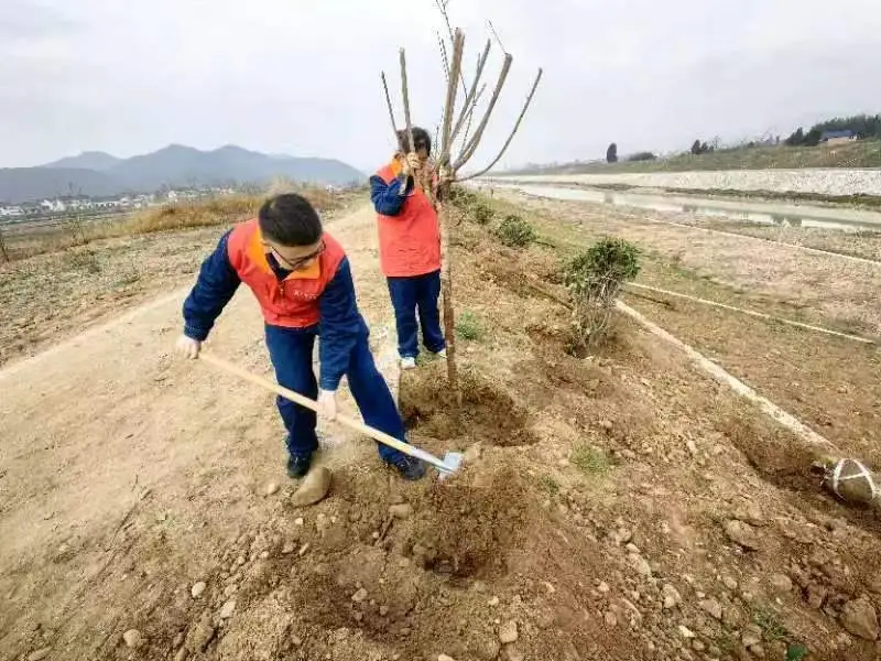“植”此青绿 | 国网汉中供电公司开展植树节活动