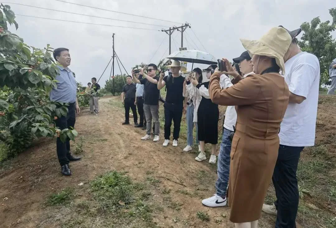 汉中西乡举办网络媒体主题采访活动
