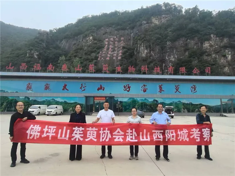 李茂武 | 更把茱萸仔细看——佛坪县山茱萸协会赴山西阳城交流记