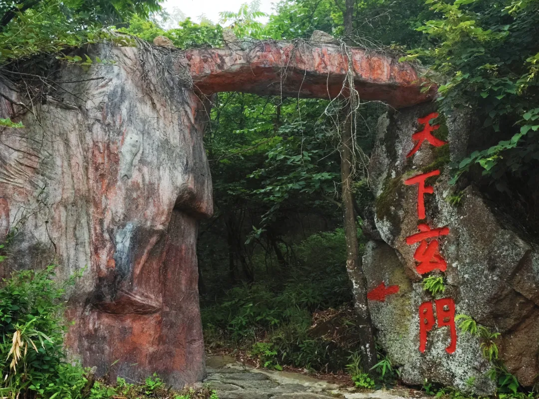 20℃云雾仙境，藏在宁强的夏日避暑秘境