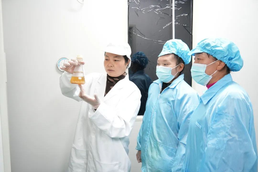 秘方曝光!汉中废桔皮身价暴涨→