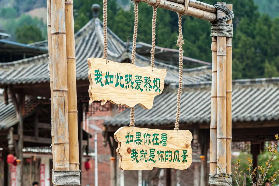 清明打卡黎坝，看《风起巴山》，赏限定花海